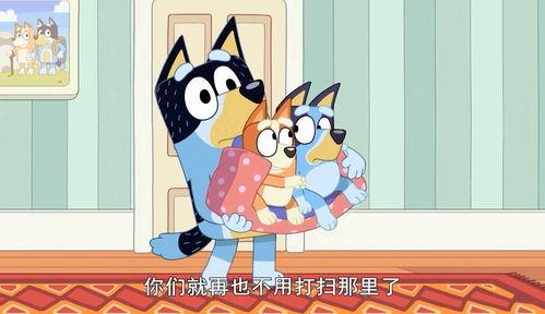 布鲁伊 第一季,探寻都市生活的情感迷宫